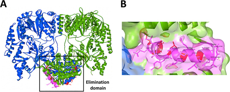 FIG 10