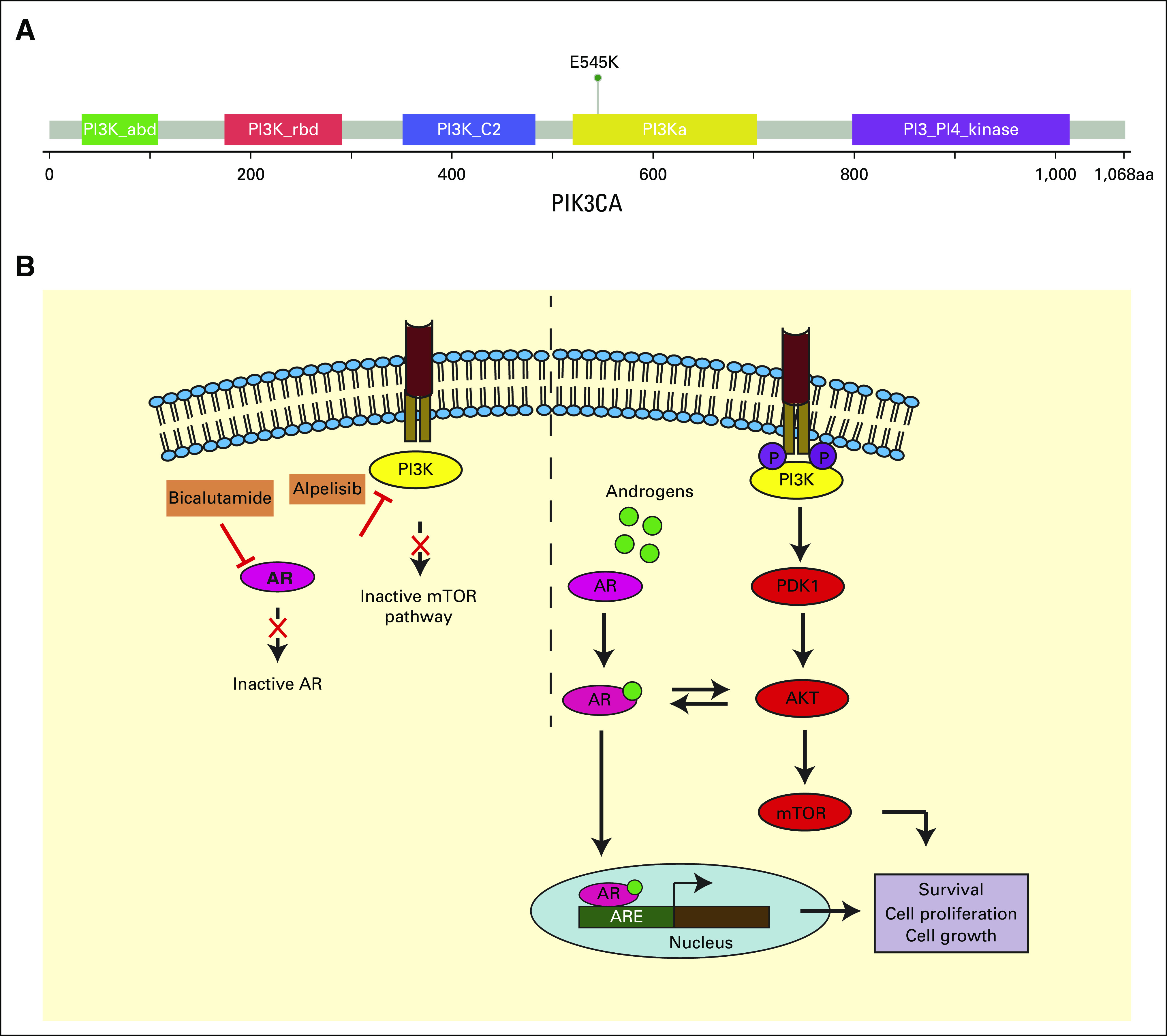 FIG 4.