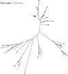 FIG 3