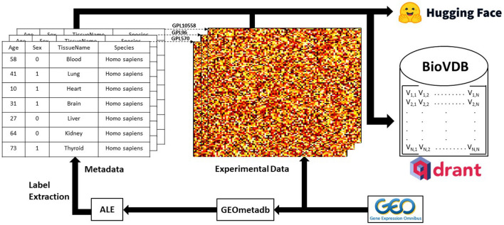 Graphical Abstract