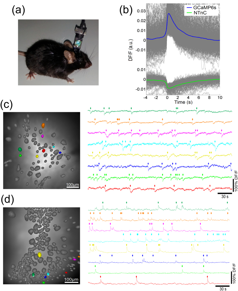 Figure 6