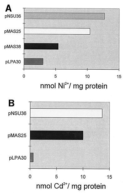 FIG. 5