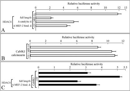 FIG. 11.