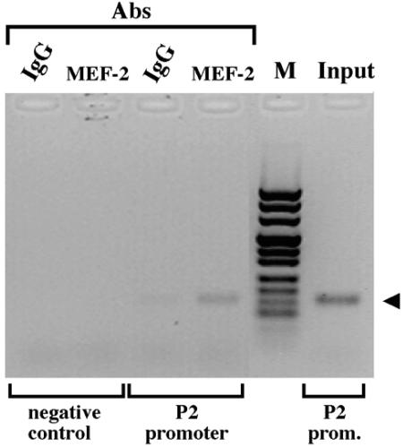 FIG. 10.