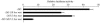 FIG. 9.