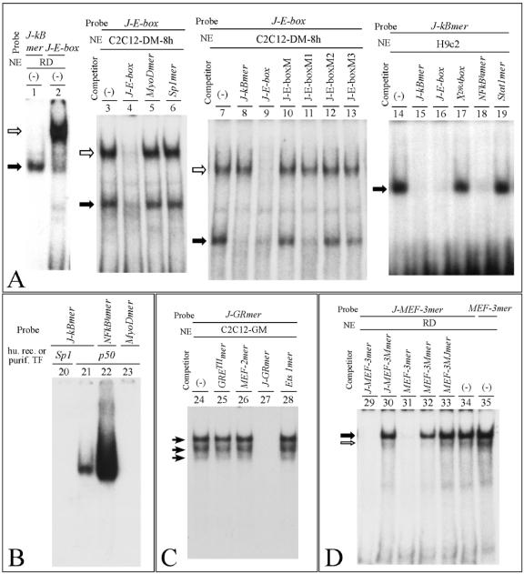 FIG. 6.