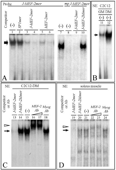 FIG. 7.