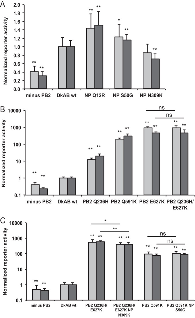 FIG 6