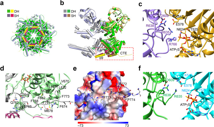 Fig. 4