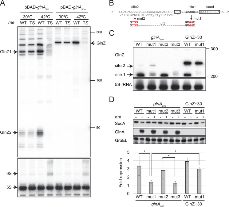 Figure 6.