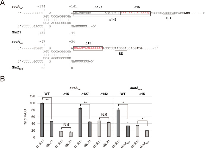 Figure 3—figure supplement 1.