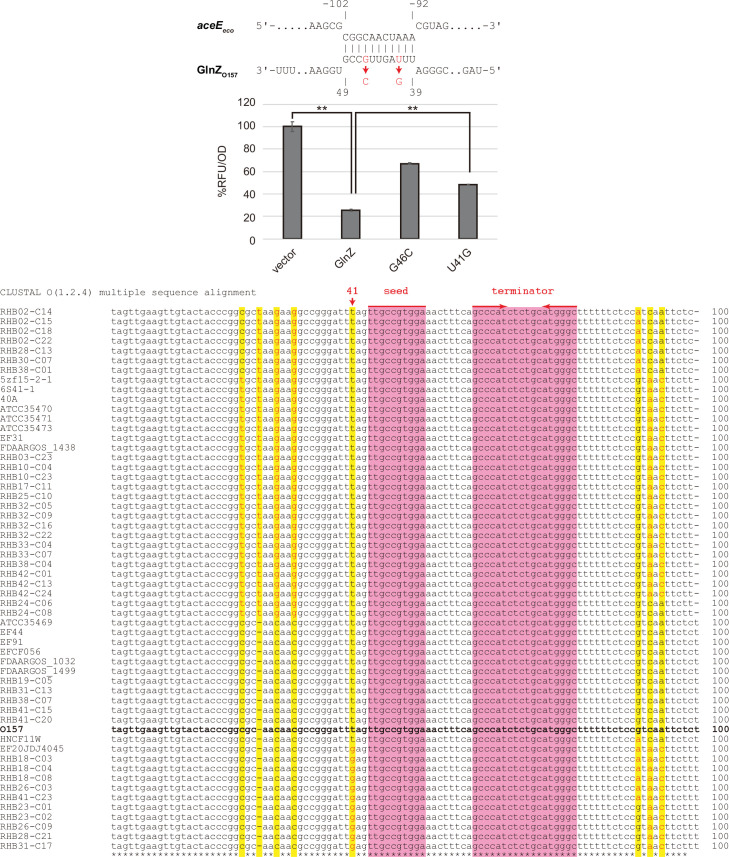 Figure 3—figure supplement 2.