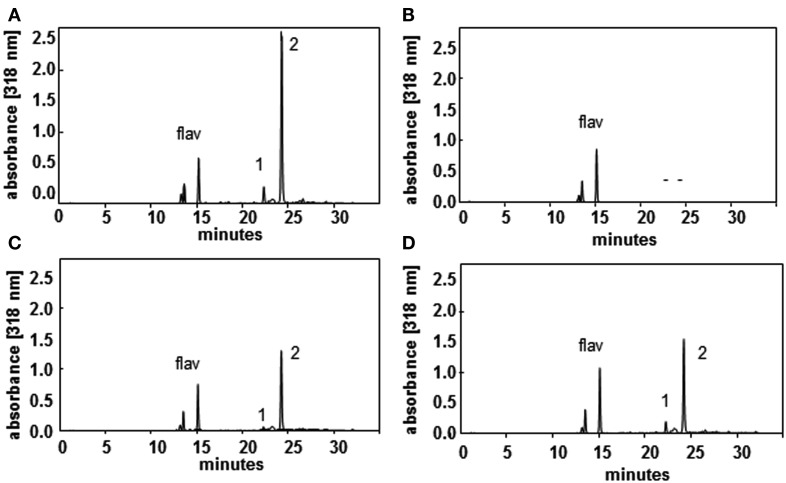 Figure 5