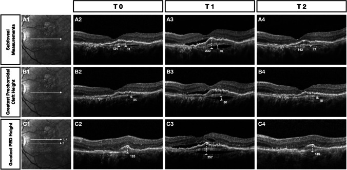 Fig. 3