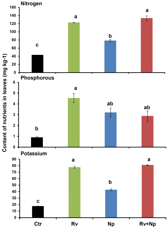 Figure 5