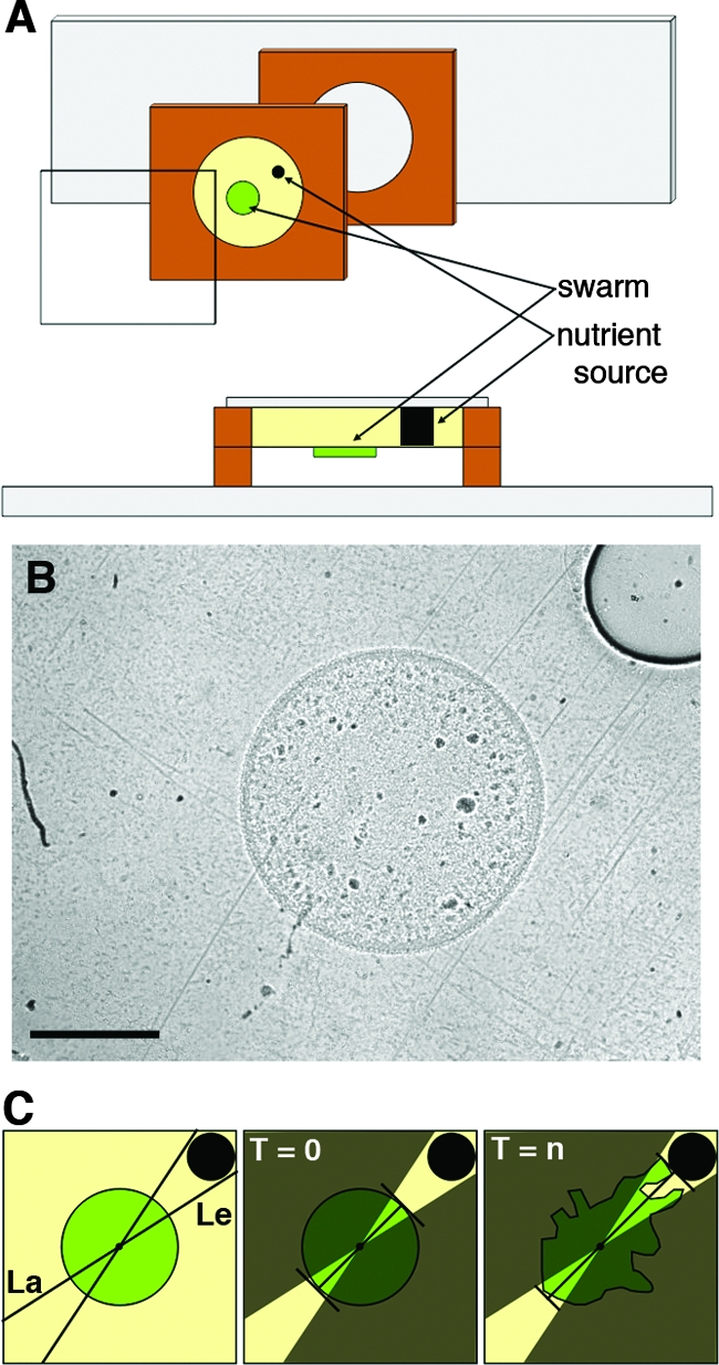 FIG. 1.