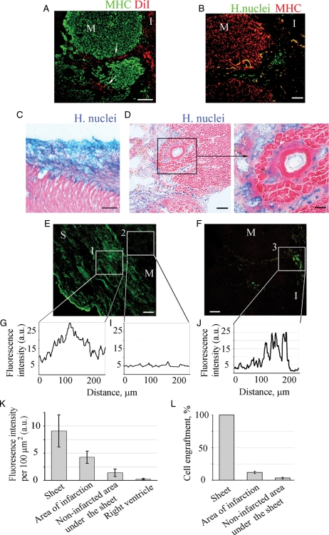 Figure 4