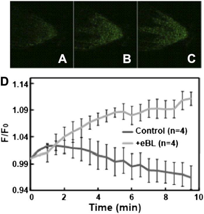 Figure 4.