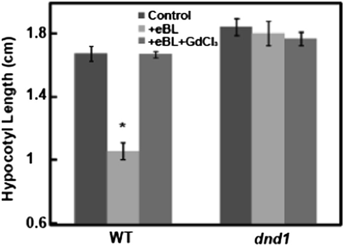 Figure 11.