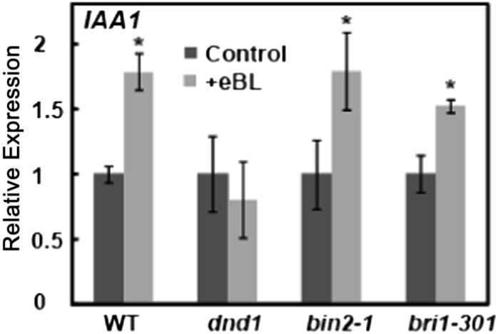 Figure 7.