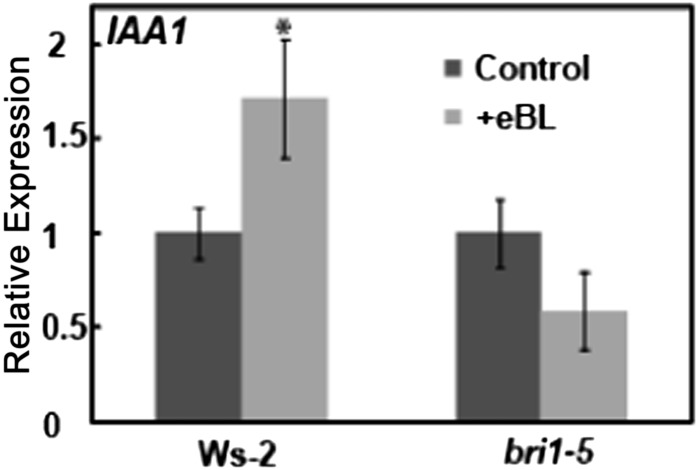 Figure 6.