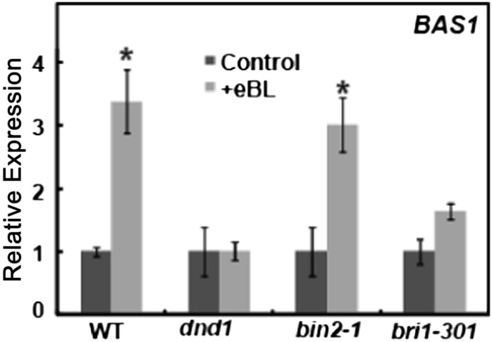 Figure 9.