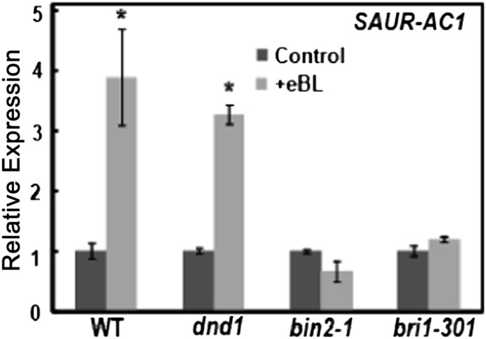 Figure 10.