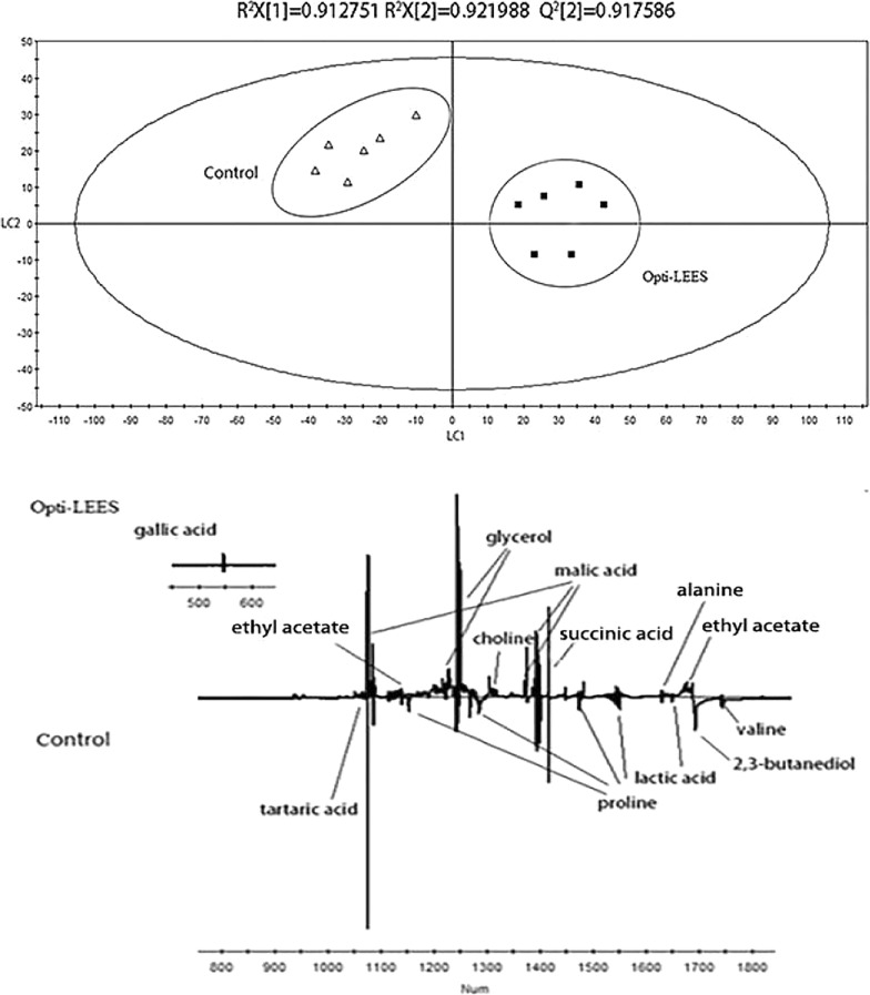 Fig. 7