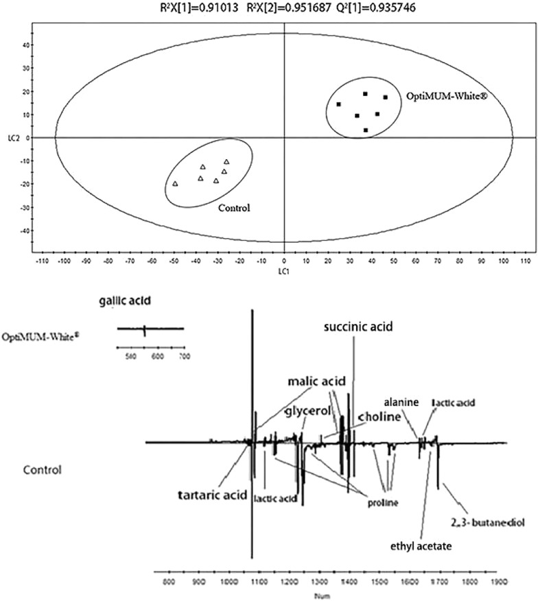 Fig. 6