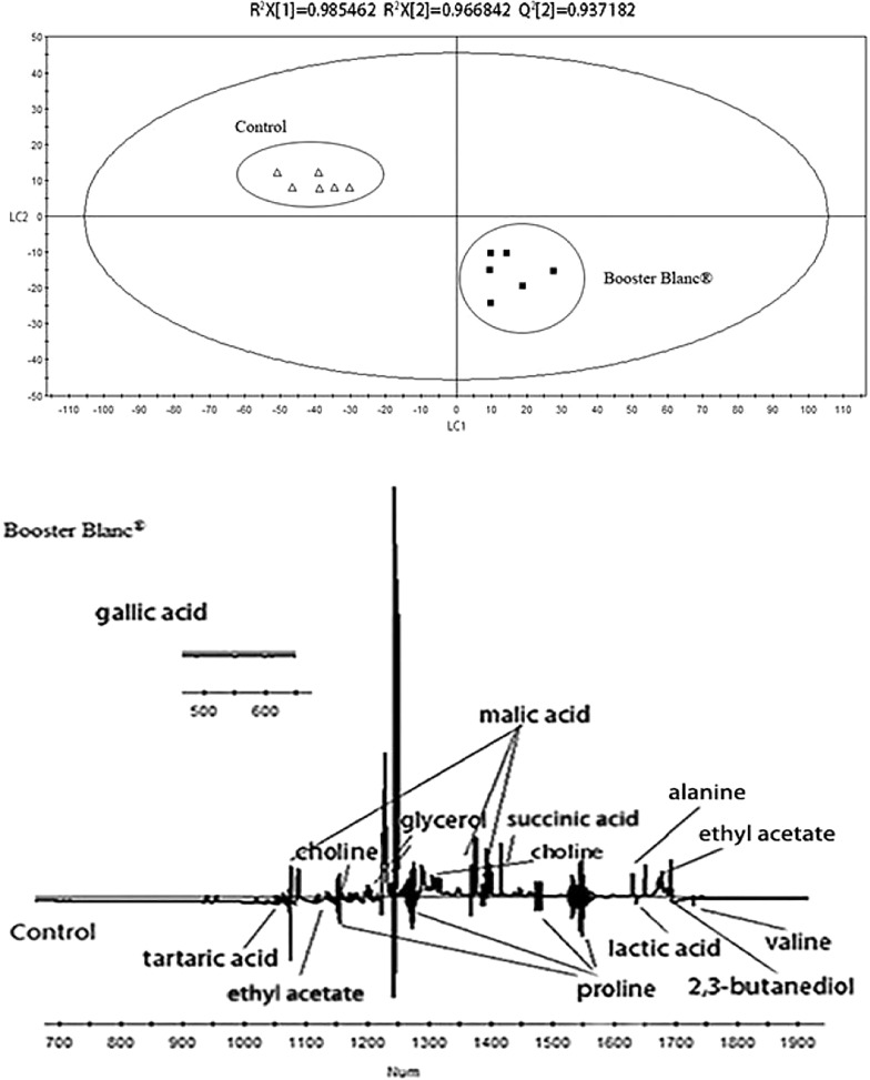 Fig. 8