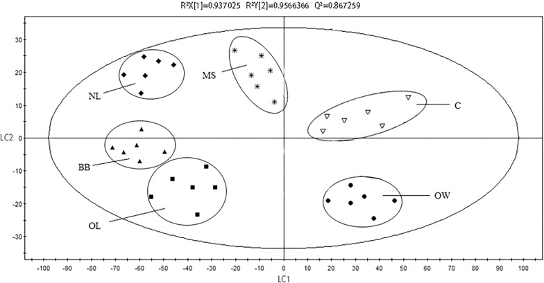 Fig. 5