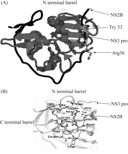 Figure 2