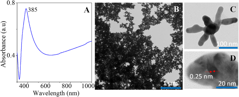 Fig. 1
