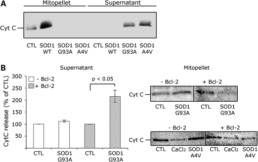 Figure 1.