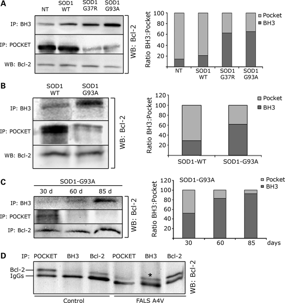 Figure 4.