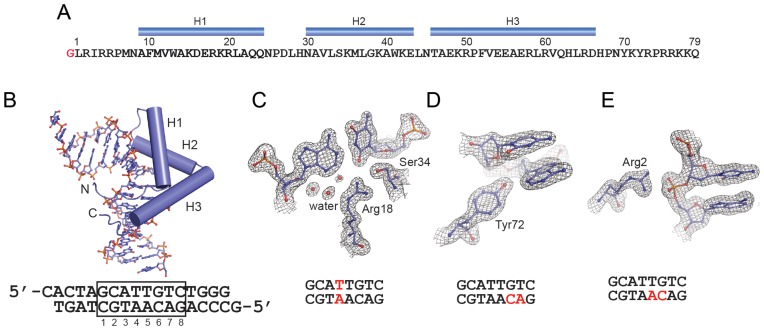 Figure 2.