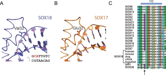 Figure 7.