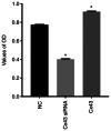 Figure 11.