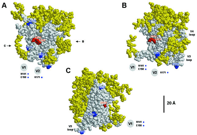 FIG. 4.