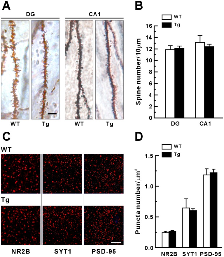 Fig 4