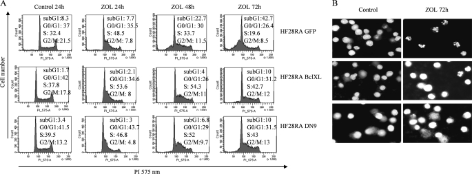 FIGURE 4.