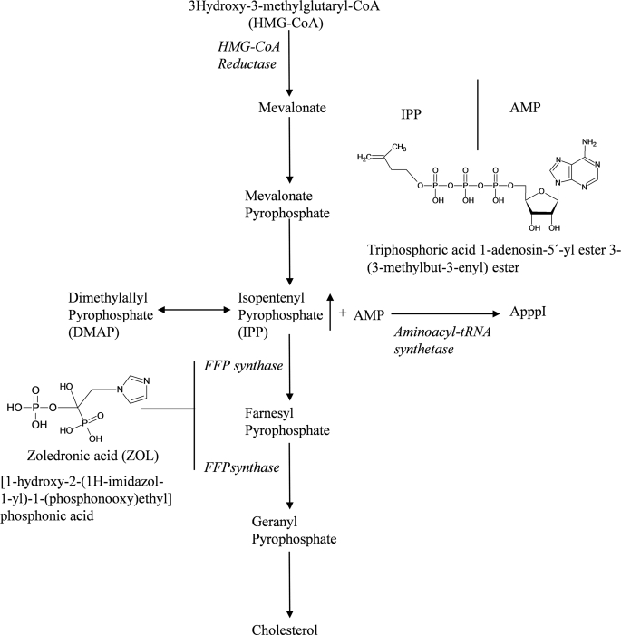 FIGURE 1.