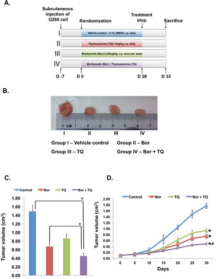 Fig 5