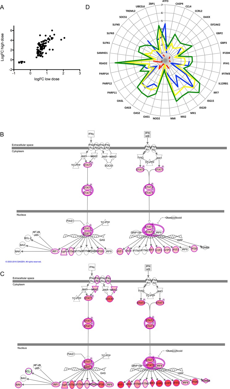 Fig 4