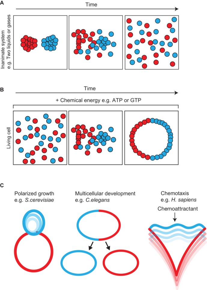 FIGURE 1: