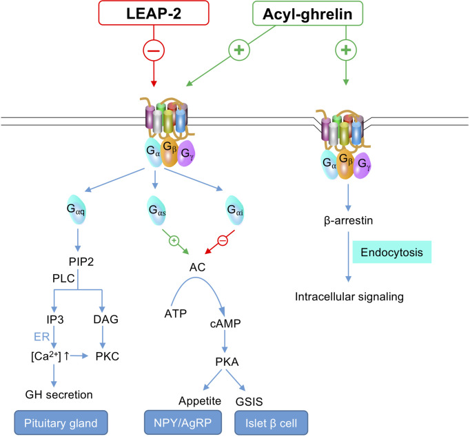 Figure 2