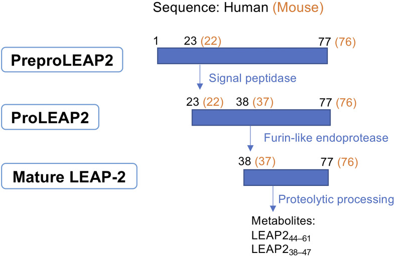 Figure 1