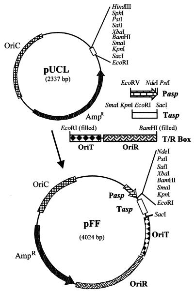 FIG. 1.