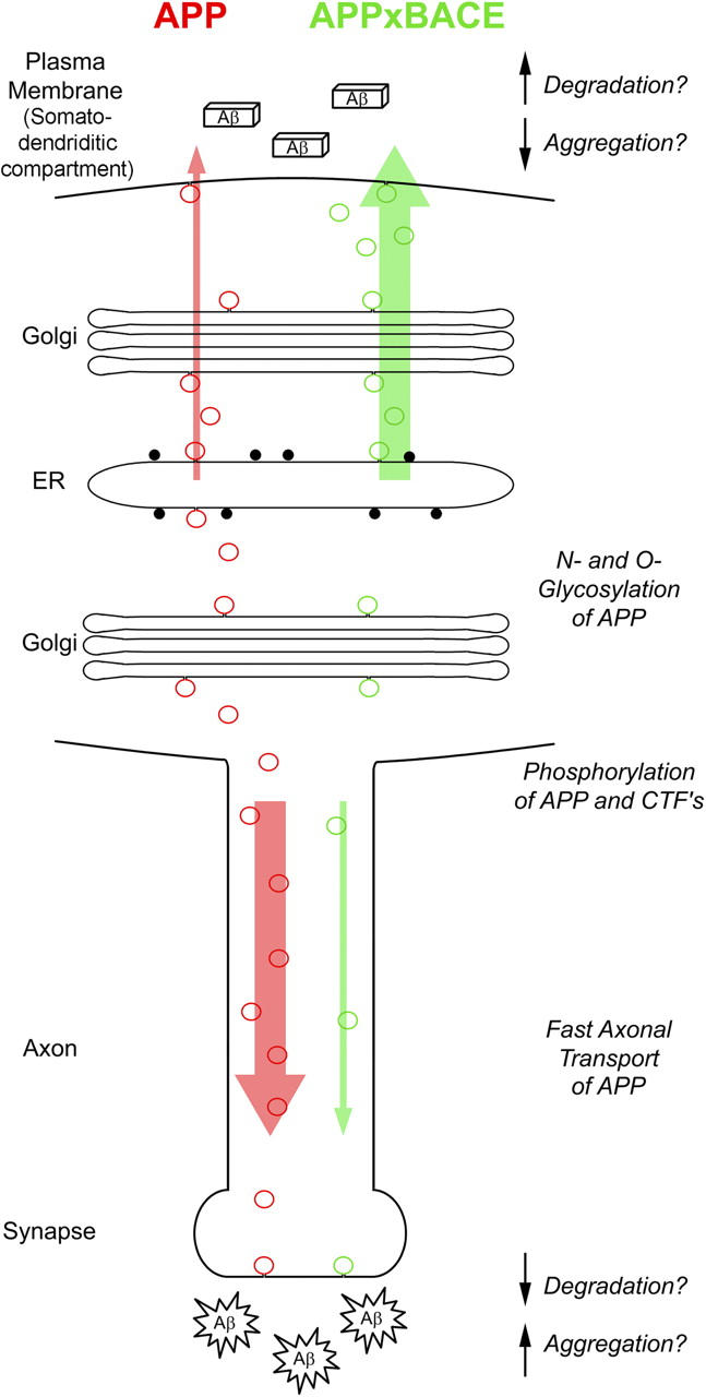 Figure 9.