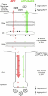 Figure 9.